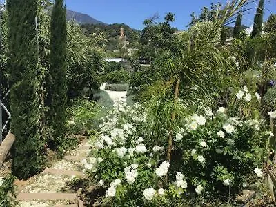 Molino * Estepona